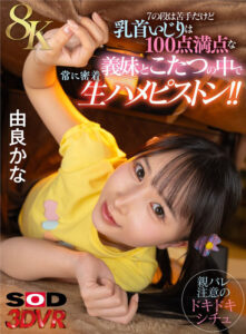 【VR】【8K】7の段は苦手だけど乳首いじりは100点満点な妹とこたつの中で常に密着生ハメピストン！！由良かな(13dsvr01891)