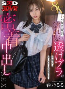 【VR】【8K】ゲリラ豪雨で濡れ髪・透けブラの幼馴染と、見つめ合い温め合った密着中出しSEX 春乃るる(13dsvr01823)