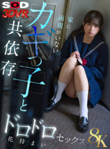 【VR】【8K】家に両親がいないカギっ子と共依存ドロドロセックス 花狩まい(13dsvr01832)