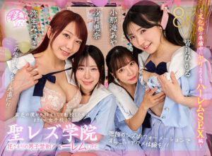 【VR】聖レズ学院 貧乏の僕がテスト生として転校した先はまさかの女子校！？花ざかりの男子禁制ハーレムLIFE～文化祭の準備中にヤリまくりハーレムSEX編～ 沙月恵奈 弥生みづき 小那海あや 皆月ひかる(cid)