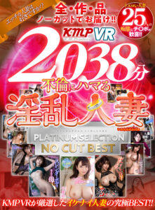 【VR】全25作品ノーカットでお届け！！2038分不倫にハマる淫乱人妻PLATINUM SELECTION BEST(cid)