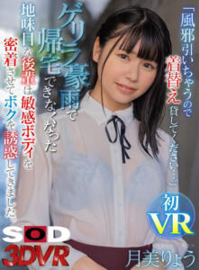 【VR】「風邪引いちゃうので着がえ貸してください…。」ゲリラ豪雨で帰宅できなくな った地味目な後輩は敏感ボディを密着させてボクを誘惑してきました。 月美りょう(13dsvr01470)