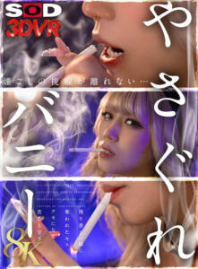 【VR】【8K】やさぐれバニー 鳳カレン(13dsvr01791)